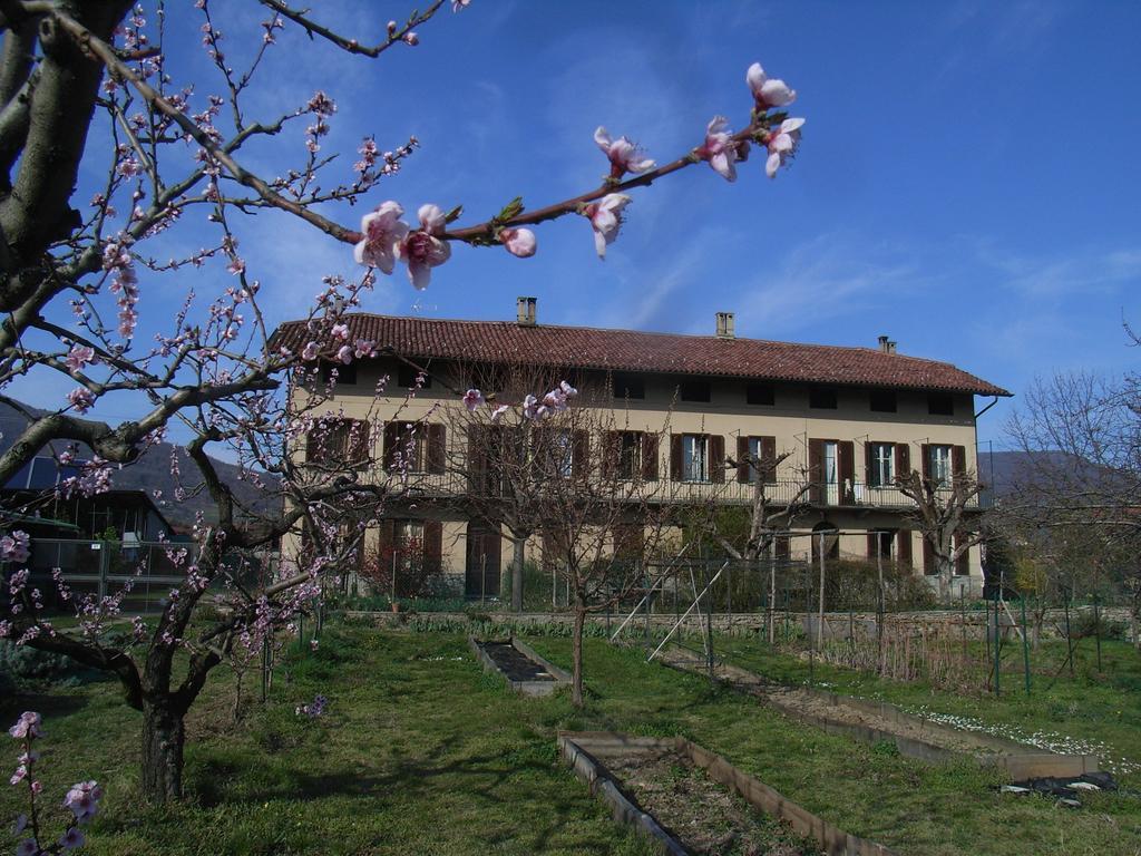 U Tej Panzió Cumiana Kültér fotó